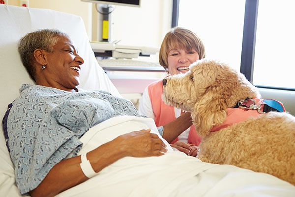 Woman in hospital bed petting dog.